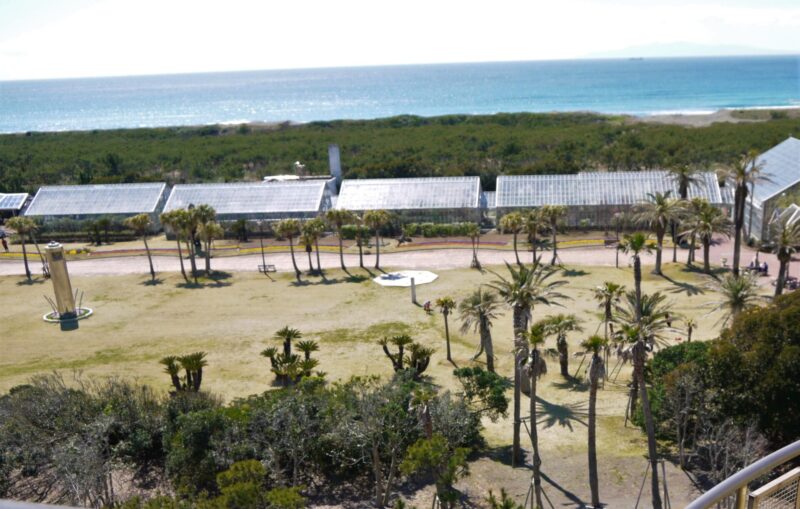 アロハガーデンから東京湾を望む園内の様子を写した写真