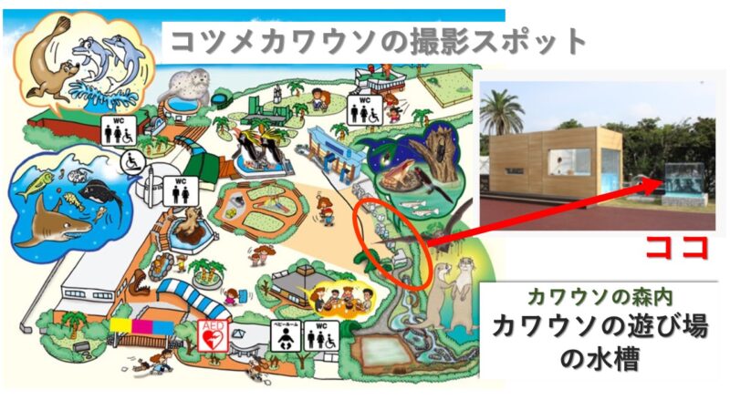 油壷マリンパーク撮影スポットの場所を示したイラスト写真