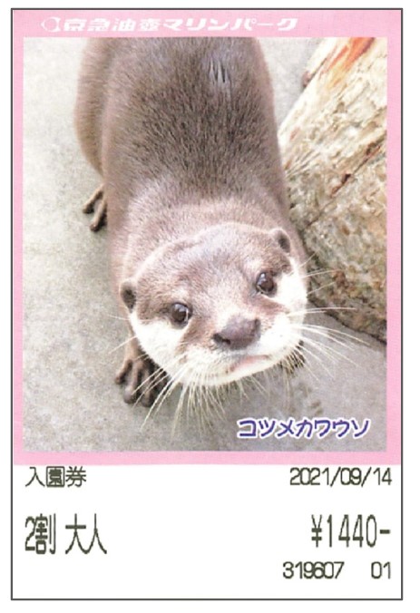 油壷マリンパークのチケット