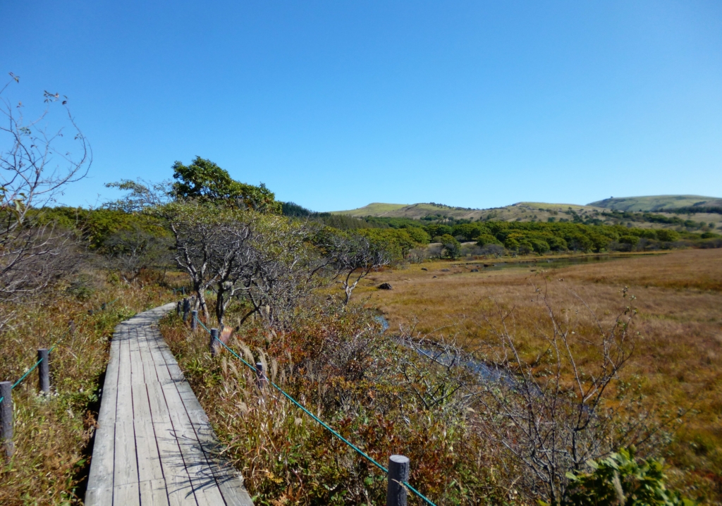 八島湿原の木道を撮影した写真