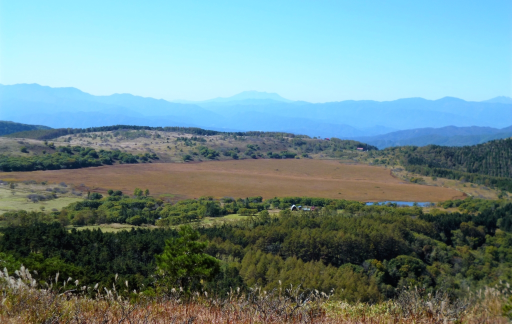 ゼブラ山から八島湿原を見おろす様子を撮影した写真